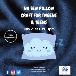 No Sew Pillow Craft 